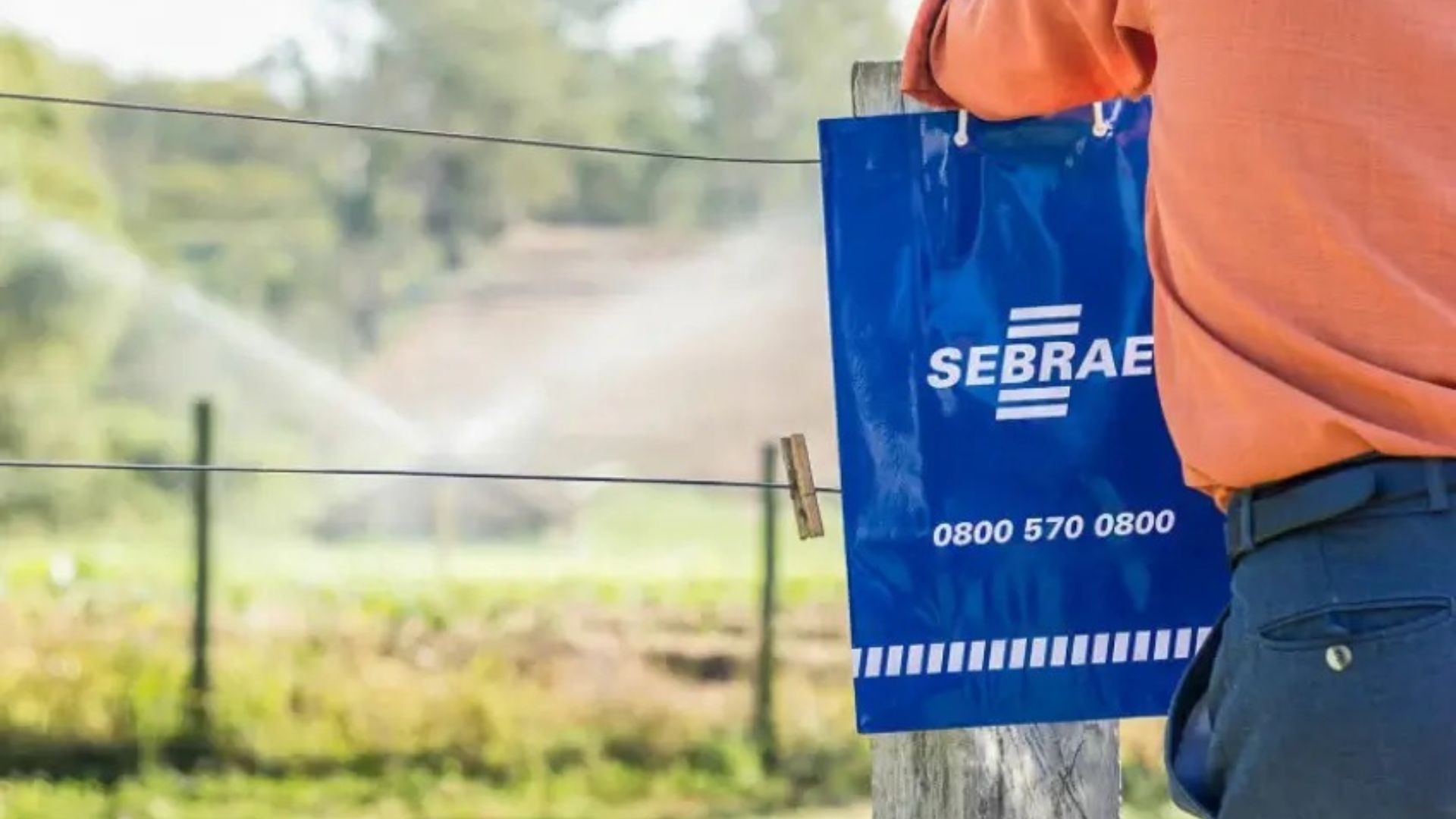 Sebrae-SP abre inscrições para ALI Rural, programa gratuito de inovação para produtores da região de Campinas