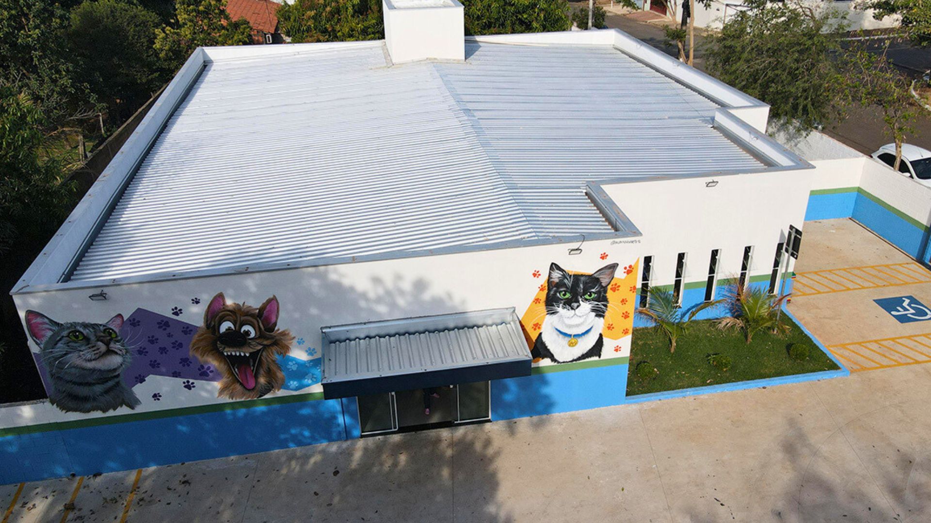 Nova Odessa completa um ano do Bem-Estar Animal com mais de 16 mil atendimentos gratuitos