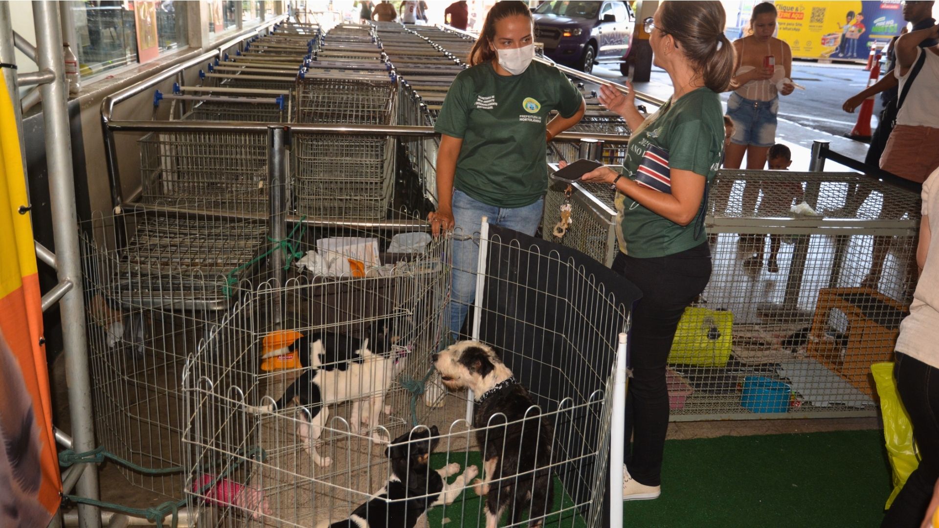 Prefeitura de Hortolândia fará feira de adoção responsável no sábado, 23/08