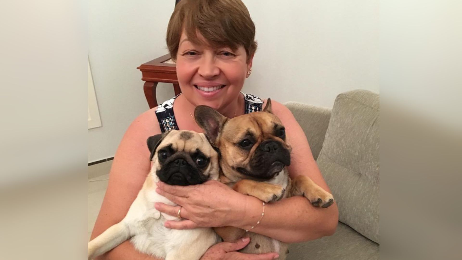 Ronco em cães e gatos pode indicar obstrução das vias aéreas