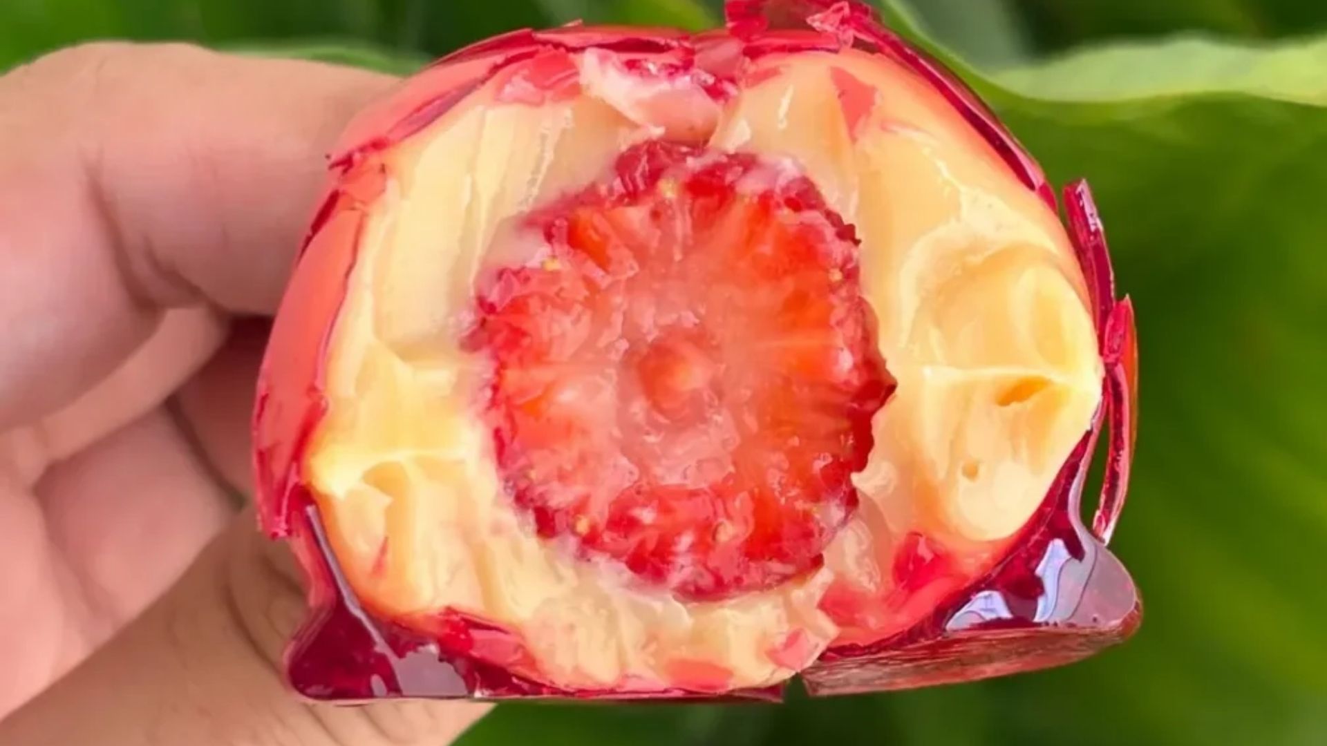 Morango do Amor vira doce viral no TikTok; veja cuidados para não errar no preparo