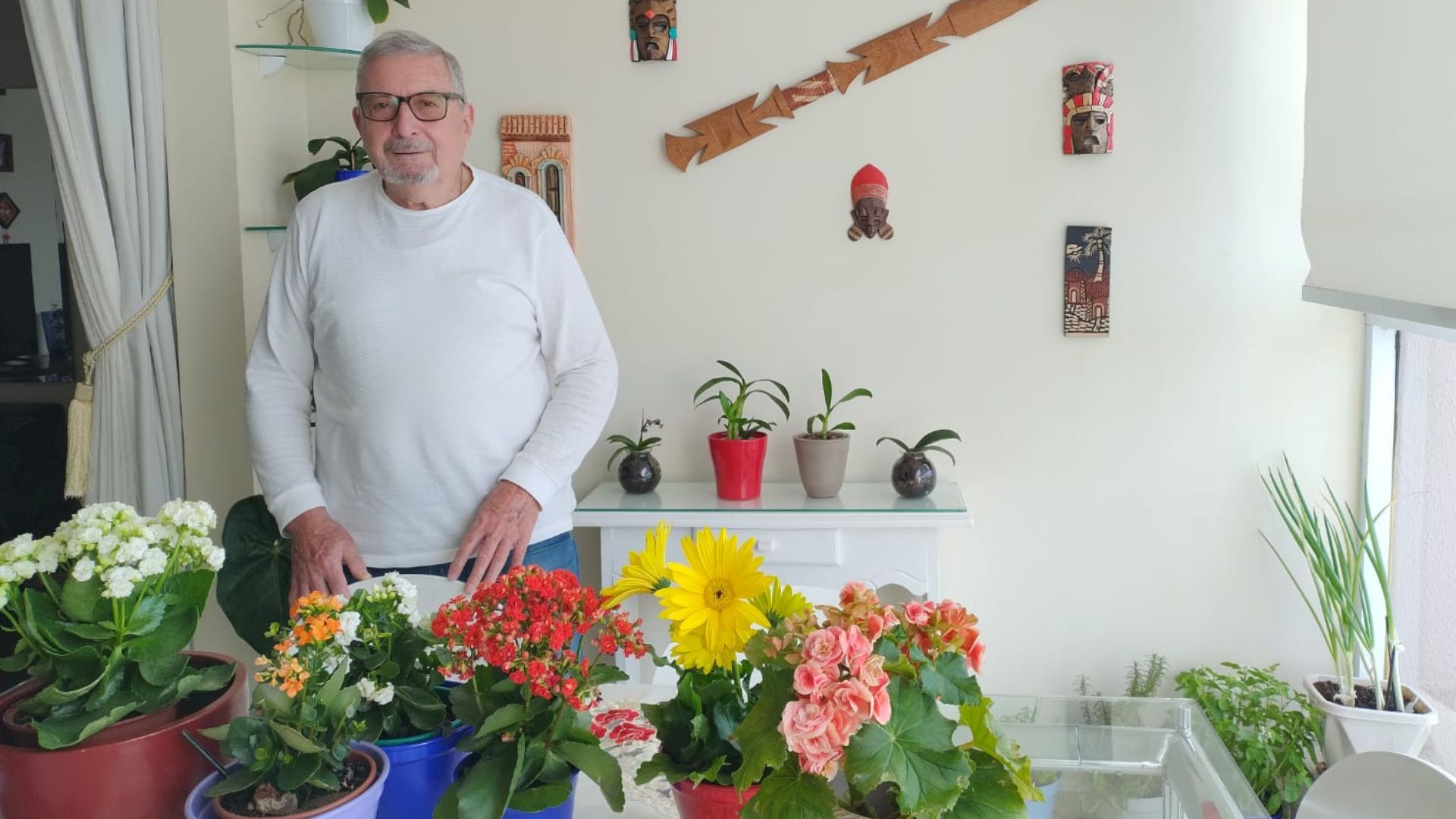 Kalanchôes e flores masculinas ganham destaque no Dia dos Pais em Campinas e região
