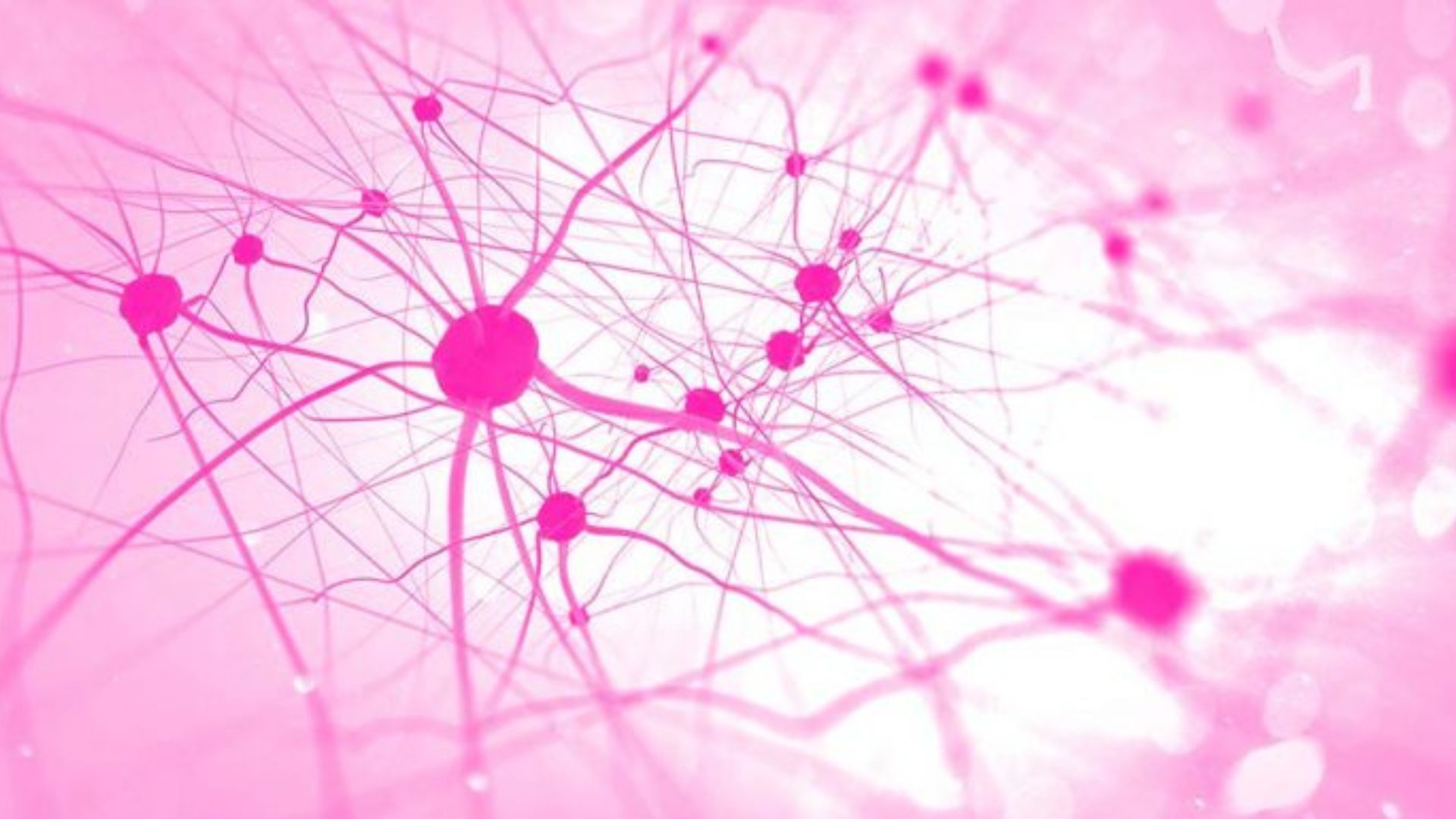 Ocitocina: O Hormônio do Amor e Seu Papel nos Relacionamentos