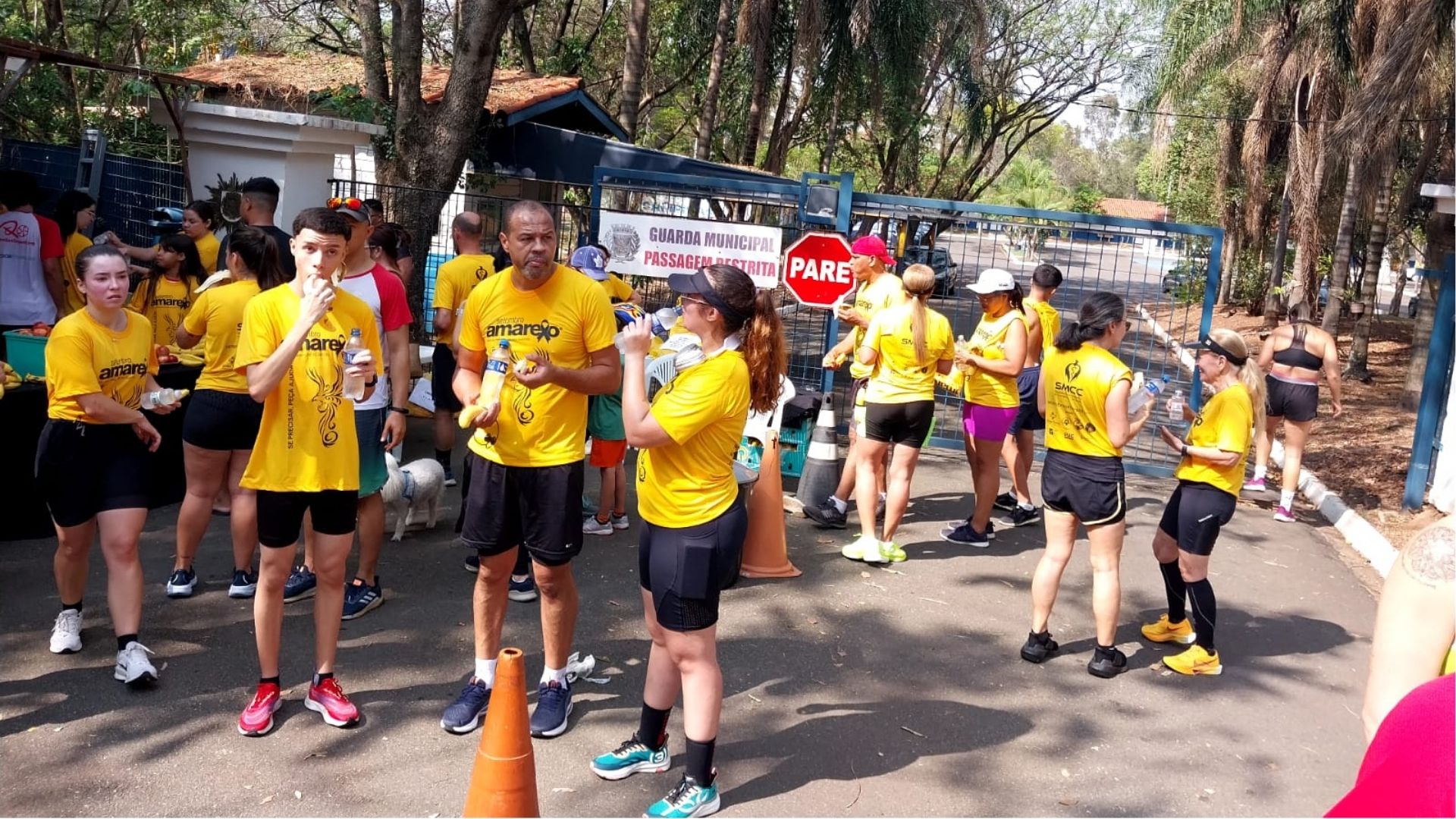 SMCC realiza Semana de Prevenção ao Suicídio em Campinas