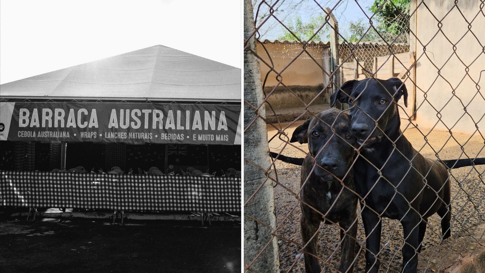 Prefeito Leitinho abandona bandeira que o elegeu e deixa AAANO à própria sorte em Nova Odessa