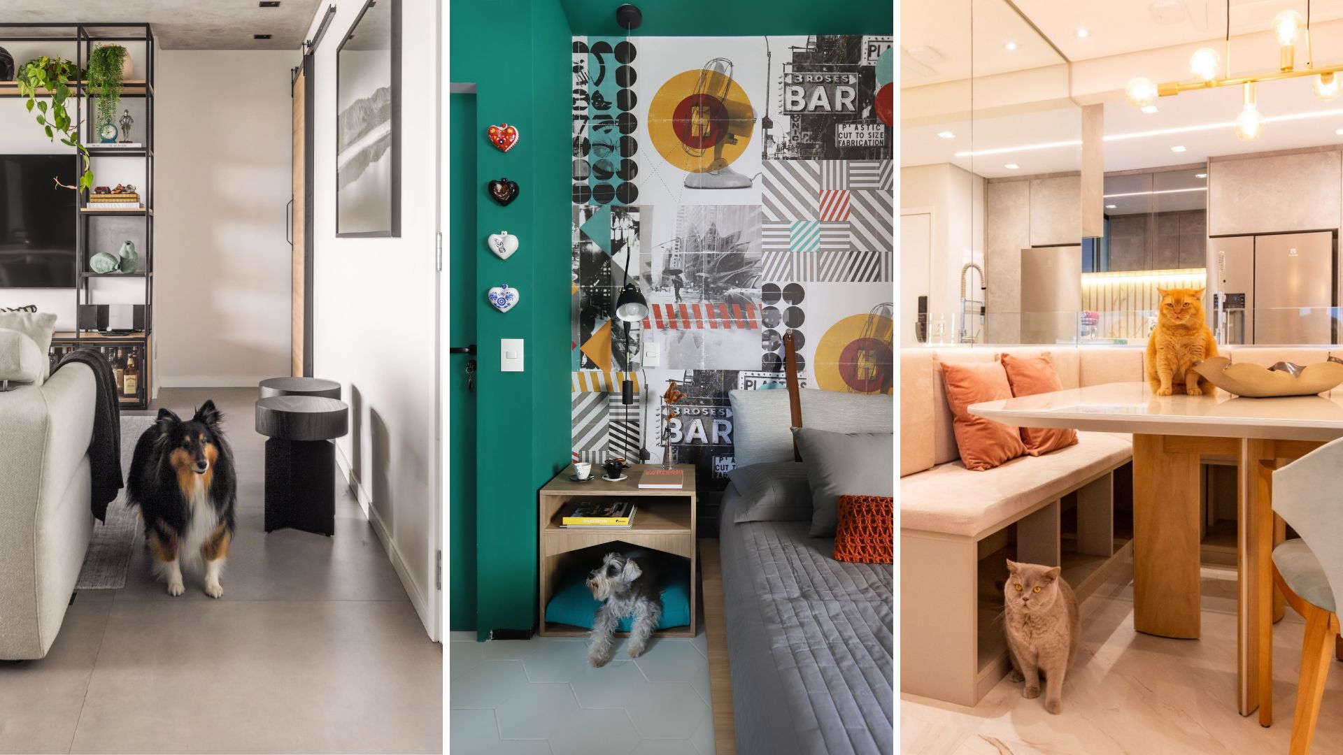 Pisos, tecidos e marcenaria para casas com cães e gatos