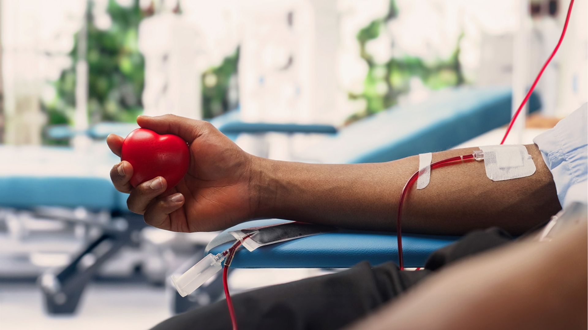 Doação de sangue: mitos, verdades e como funciona