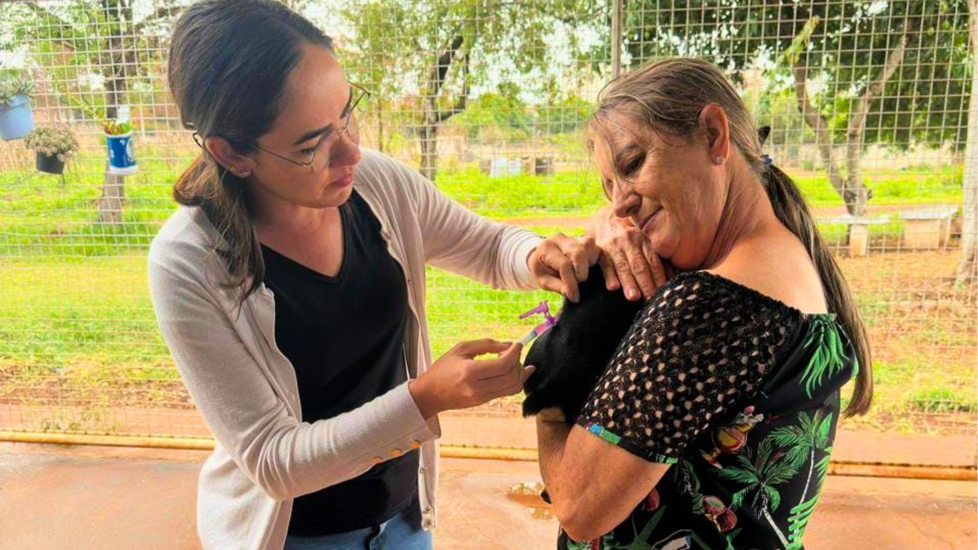 Sumaré vacina 45 cães e gatos contra a raiva
