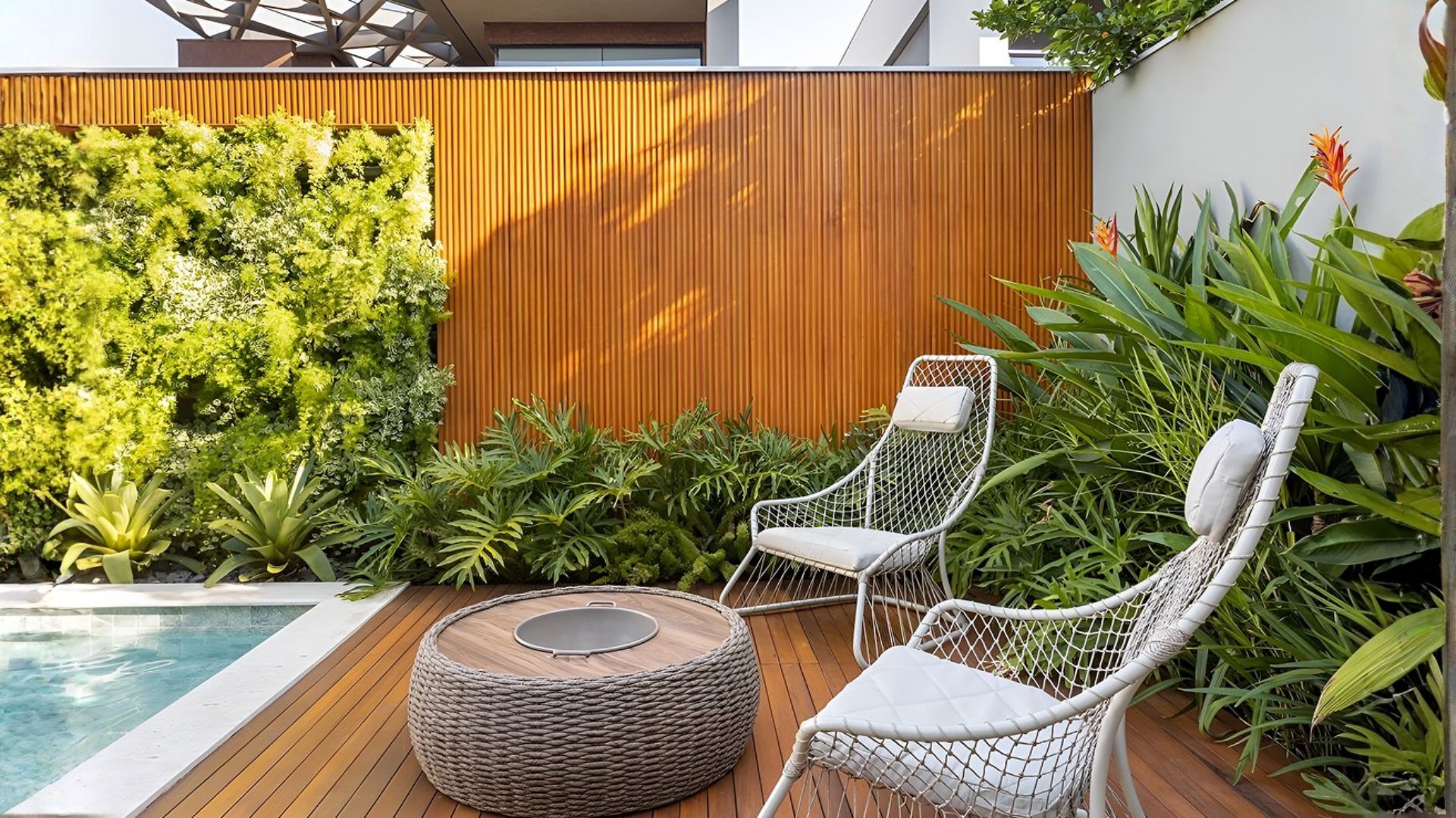 Jardinagem: 5 plantas versáteis para sol e sombra