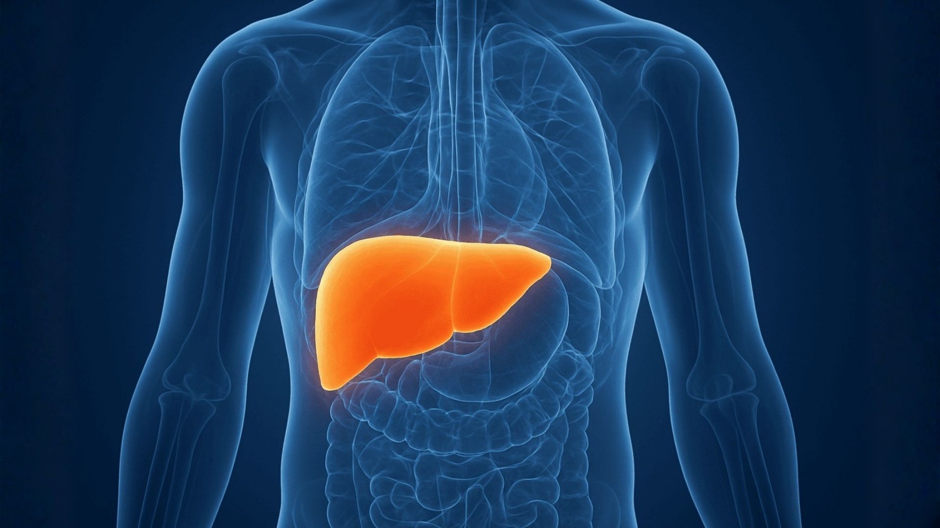 Gordura no fígado afeta milhões de brasileiros, diz especialista