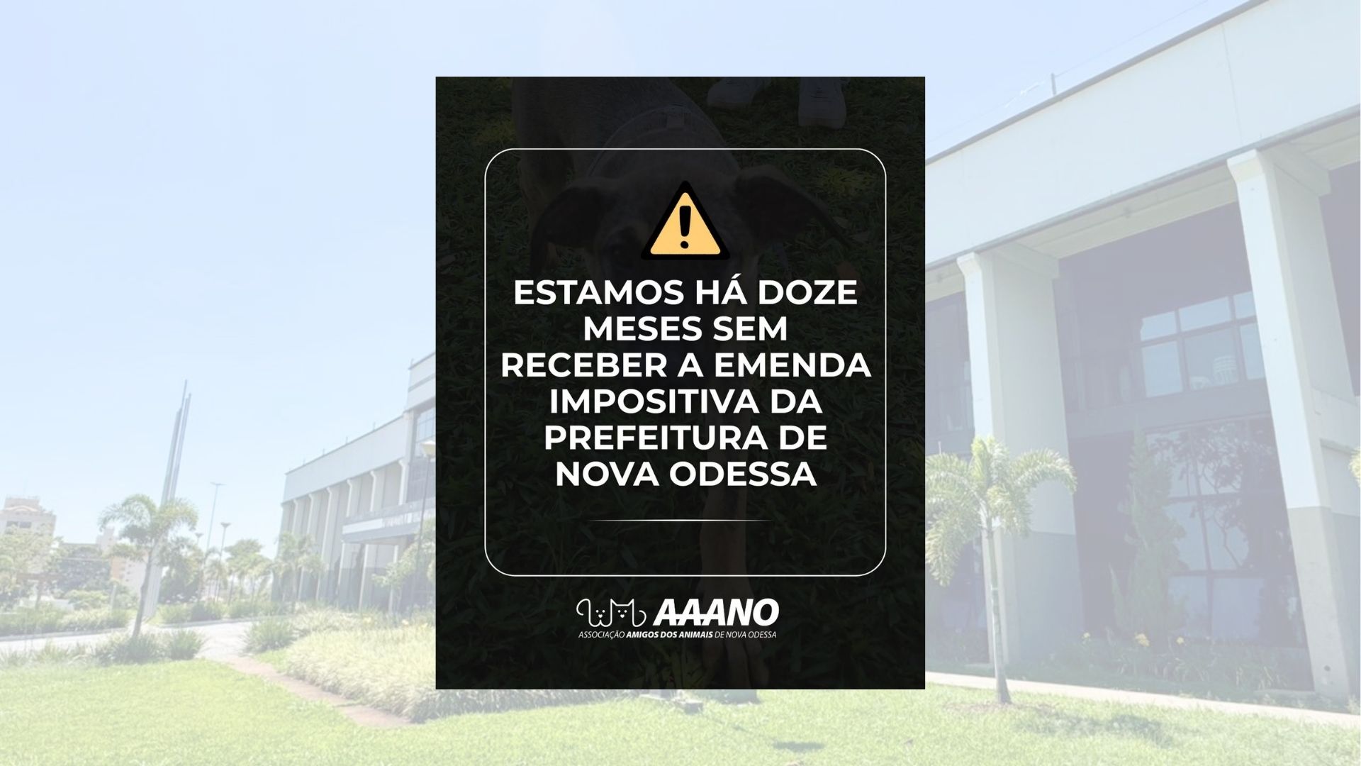 AAANO corre risco de fechar em Nova Odessa por emenda de R$335 mil